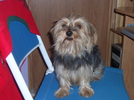 chuky